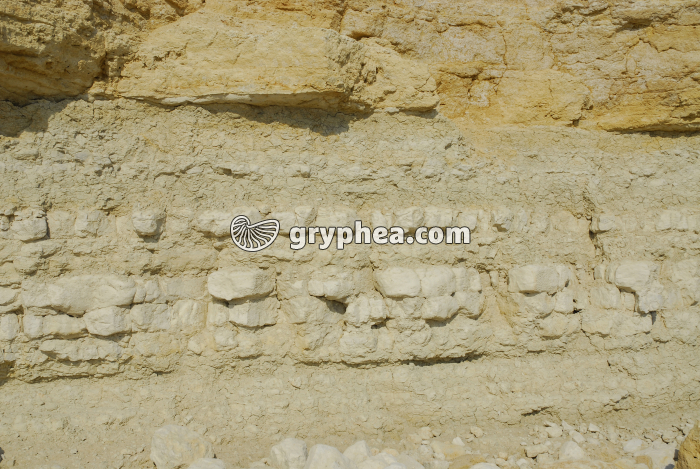 Strates calcaires Pointe du Chaix - gryphea.com